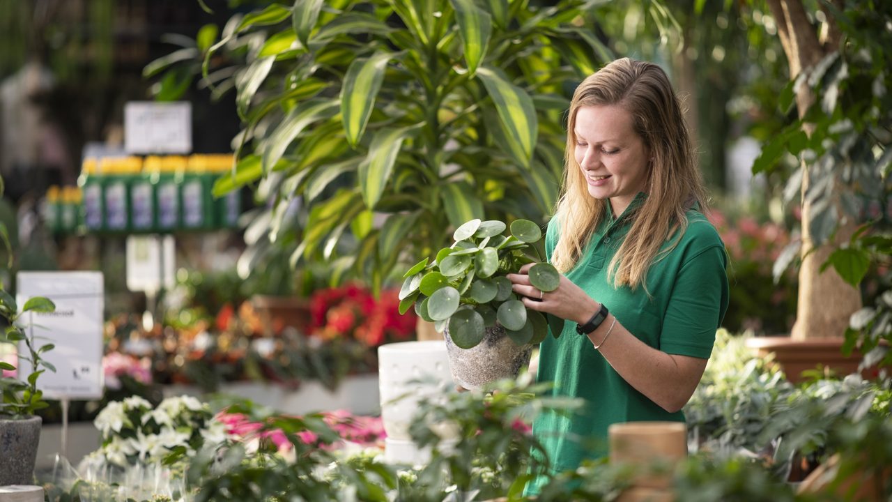 Medewerker van een tuincentrum met een plant in haar handen tussen het groen in de winkel